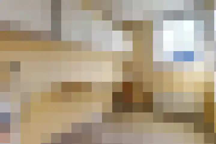 Mosselbank 11 Goes thumbnail 36