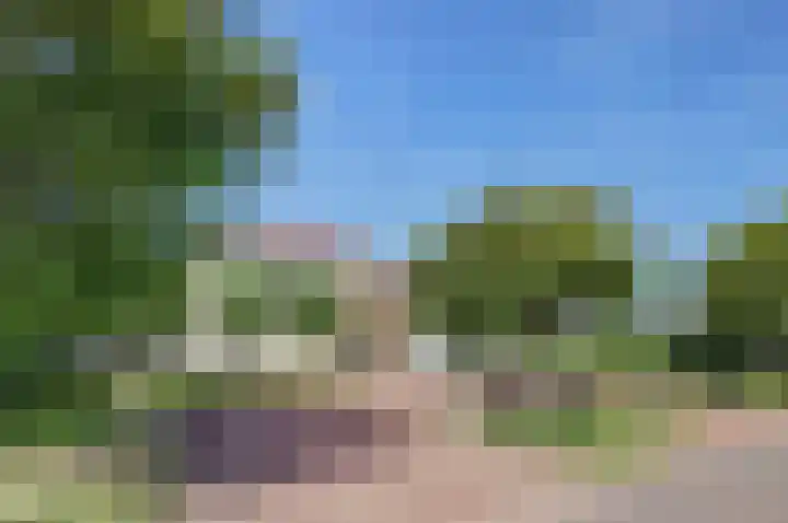 Mosselbank 11 Goes thumbnail 4