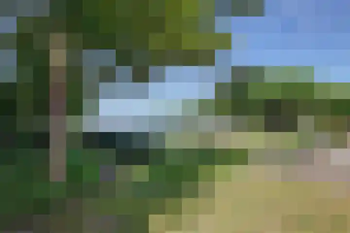 Mosselbank 11 Goes thumbnail 42