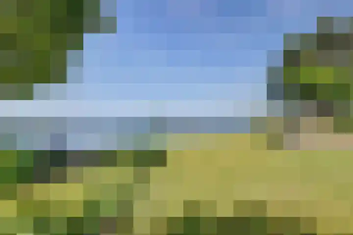 Mosselbank 11 Goes thumbnail 44