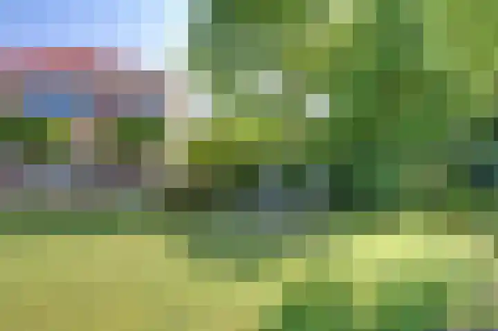 Mosselbank 11 Goes thumbnail 45