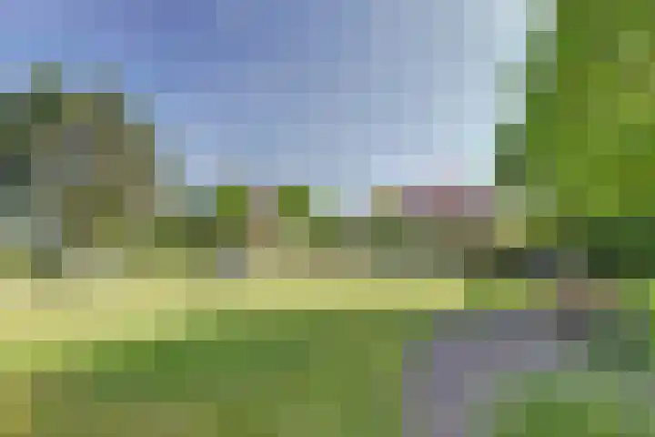Mosselbank 11 Goes thumbnail 46
