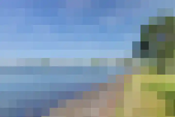 Mosselbank 11 Goes thumbnail 47