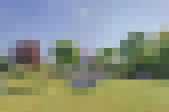Mosselbank 11 Goes thumbnail 48