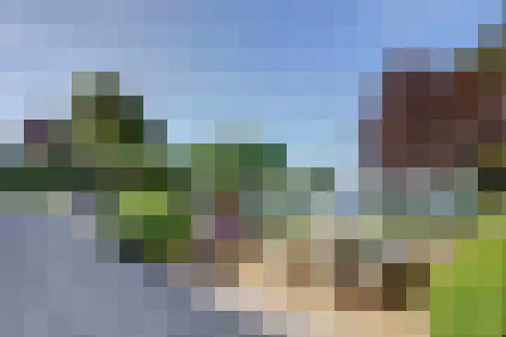 Mosselbank 11 Goes thumbnail 52