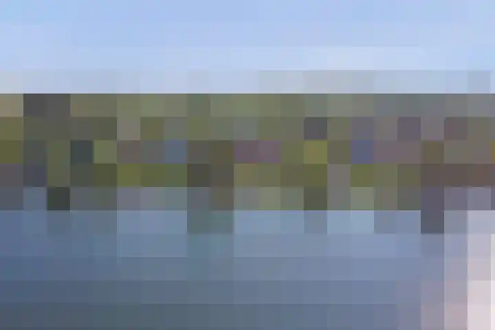 Mosselbank 11 Goes thumbnail 53