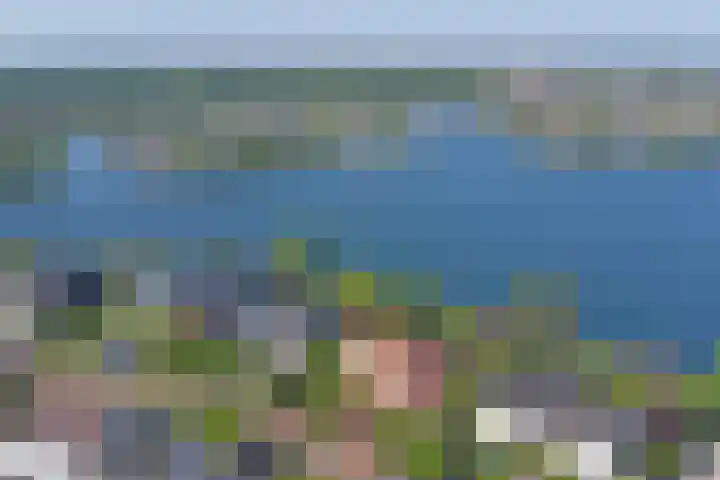 Mosselbank 11 Goes thumbnail 63