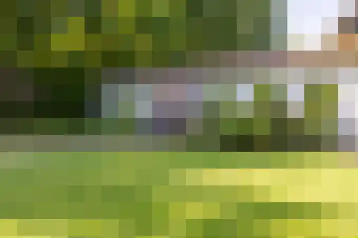 Mosselsepad 14 Otterlo thumbnail 11