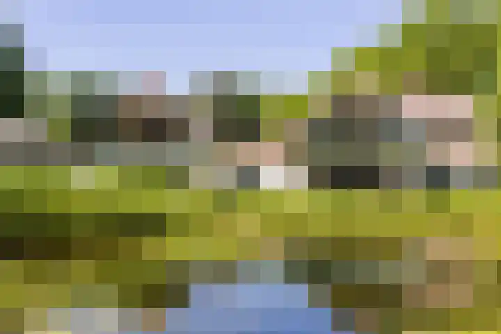 Mosselsepad 14 Otterlo thumbnail 19