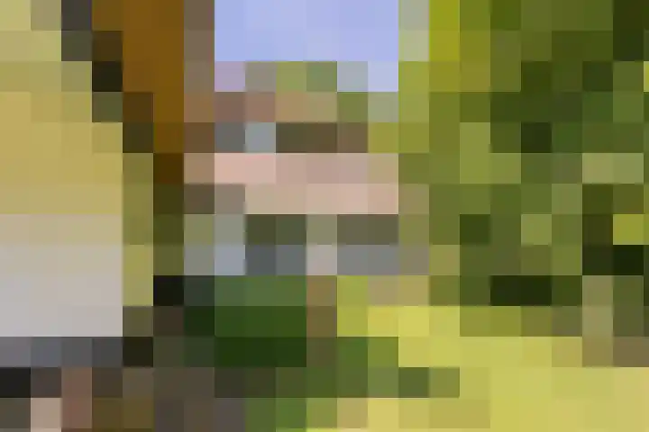 Mosselsepad 14 Otterlo thumbnail 22