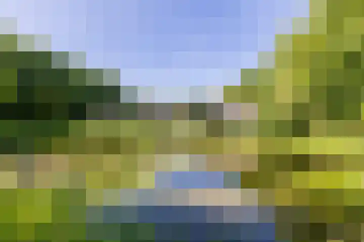 Mosselsepad 14 Otterlo thumbnail 24