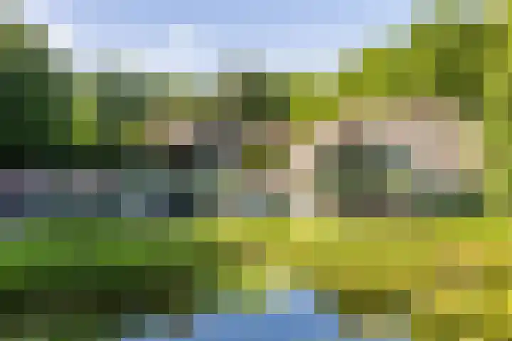Mosselsepad 14 Otterlo thumbnail 25