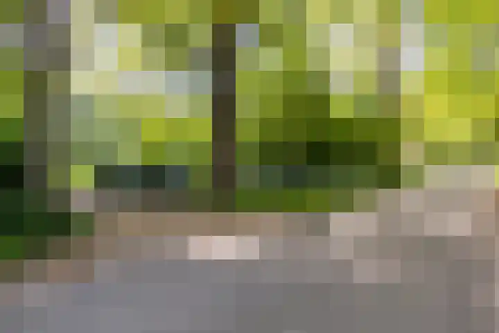 Mosselsepad 14 Otterlo thumbnail 26