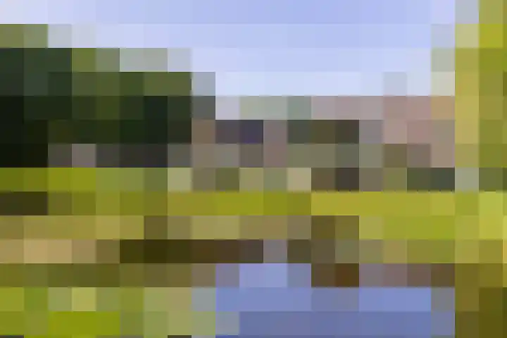 Mosselsepad 14 Otterlo thumbnail 32