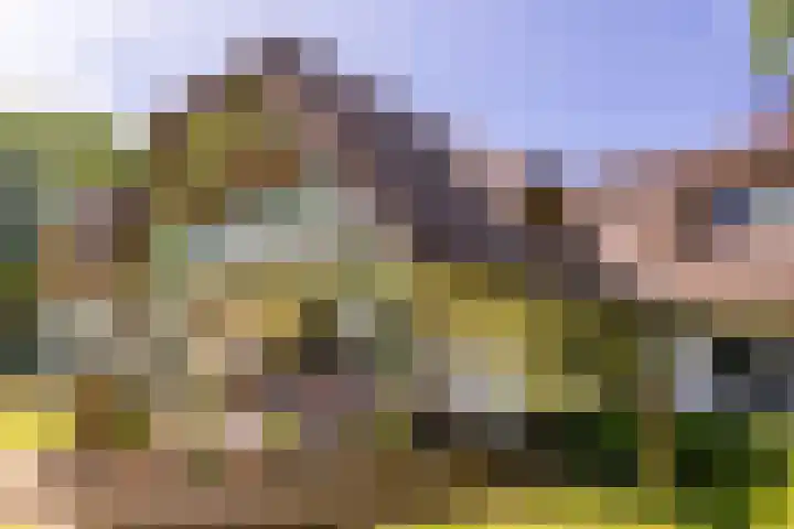 Mosselsepad 14 Otterlo thumbnail 5