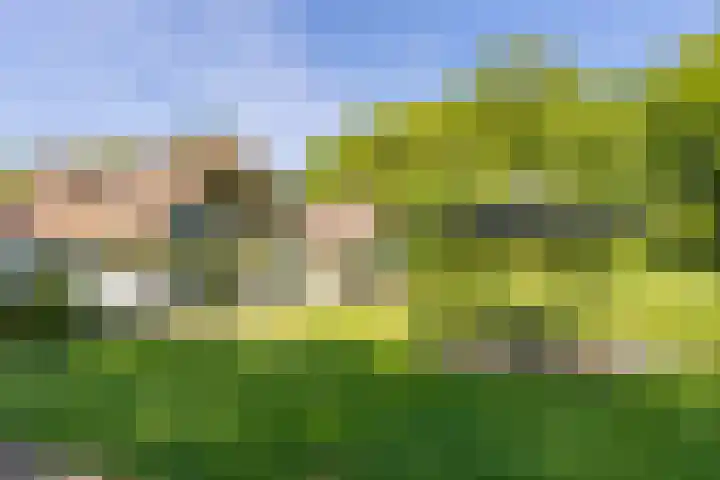 Mosselsepad 14 Otterlo thumbnail 6
