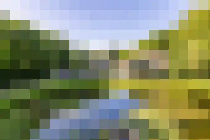 Mosselsepad 14 Otterlo thumbnail 7