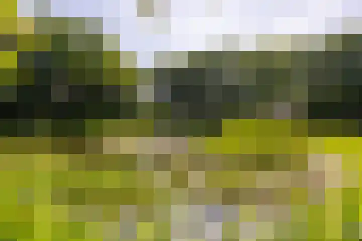 Mosselsepad 14 Otterlo thumbnail 9