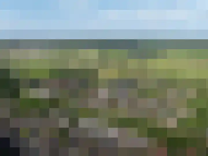 Mosstraat 15 Rijen thumbnail 5