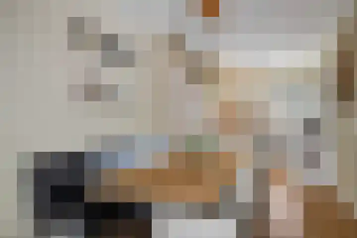 Mosterdakker 10 Zoetermeer thumbnail 12