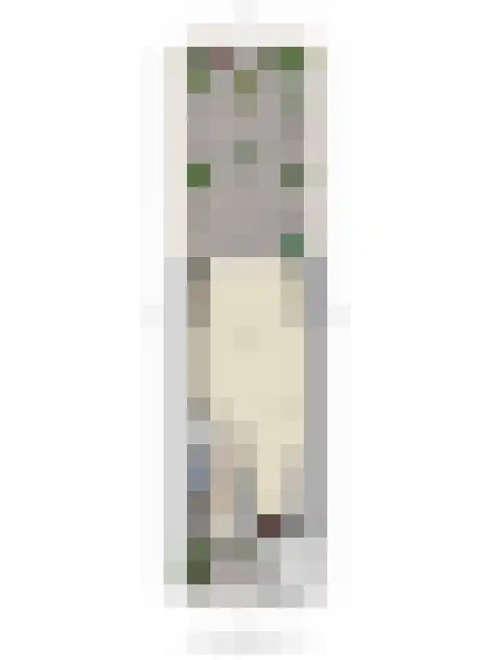 Mosterdakker 10 Zoetermeer thumbnail 44