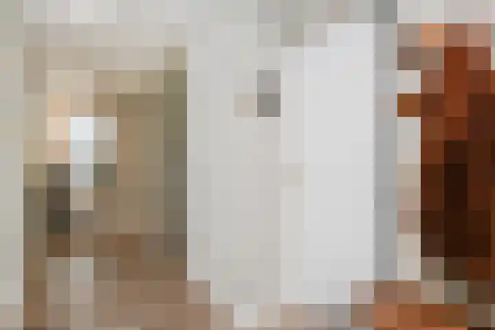 Mosterdakker 7 Zoetermeer thumbnail 10