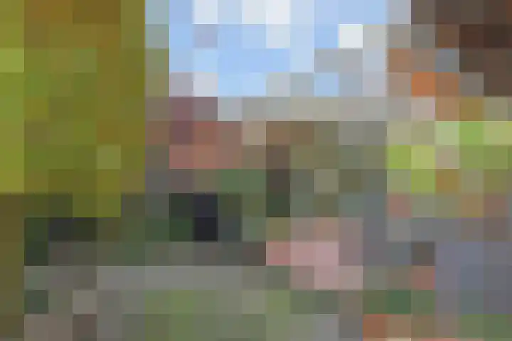 Mosterdakker 7 Zoetermeer thumbnail 17