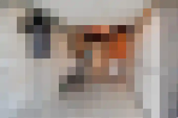 Mosterdakker 7 Zoetermeer thumbnail 48
