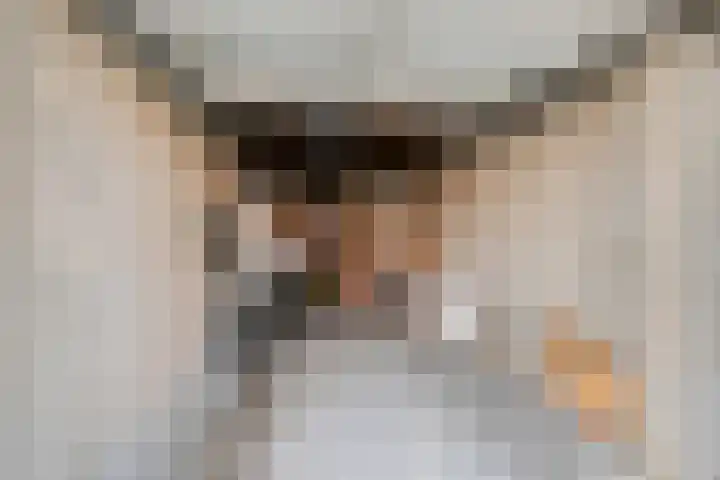 Mosterdakker 7 Zoetermeer thumbnail 49