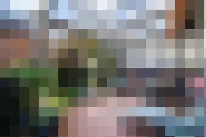 Mosterdakker 7 Zoetermeer thumbnail 5