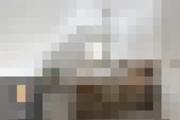 Mosterdijk 3 Vierpolders thumbnail 29
