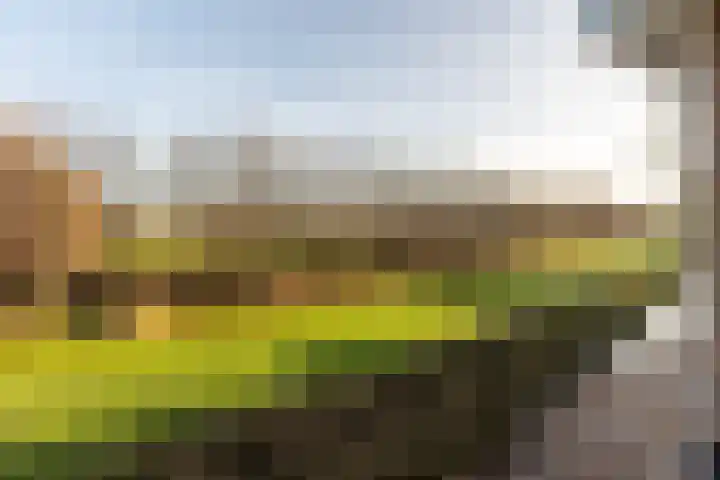 Mosterdijk 3 Vierpolders thumbnail 48
