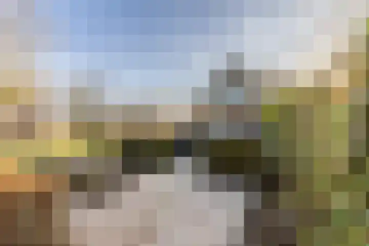 Mosterdijk 3 Vierpolders thumbnail 50
