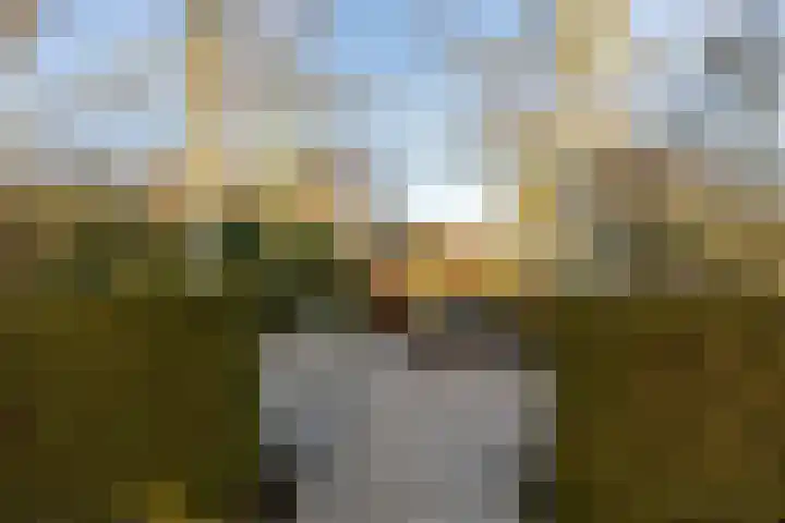 Mosterdijk 3 Vierpolders thumbnail 52