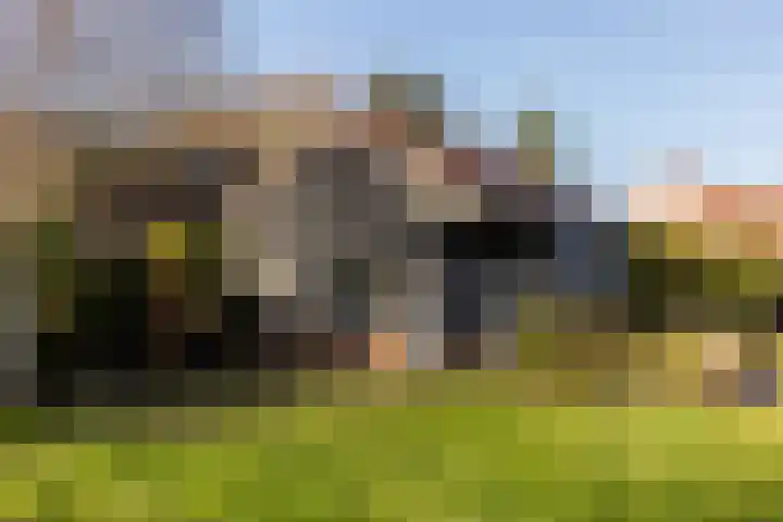 Mosterdijk 3 Vierpolders thumbnail 54