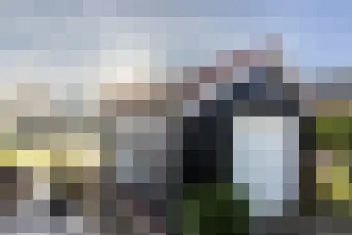 Mosterdijk 3 Vierpolders thumbnail 58