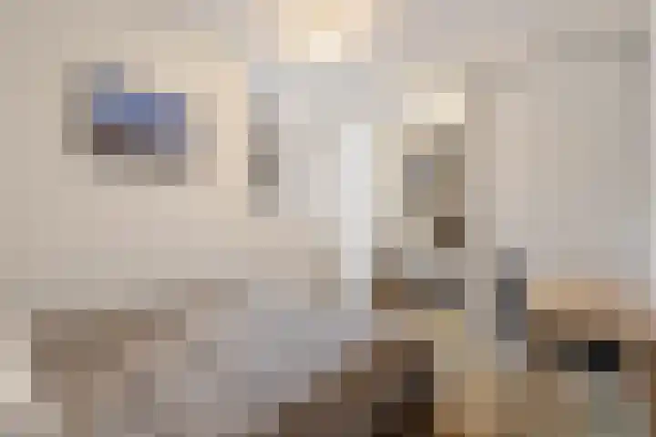 Mosterdsteeg 2 Leiden thumbnail 6