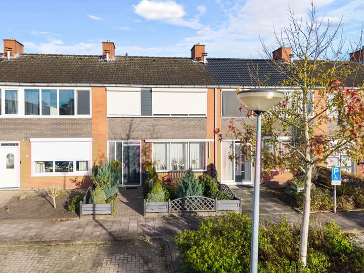 Mosveen 8 in Zwartemeer foto