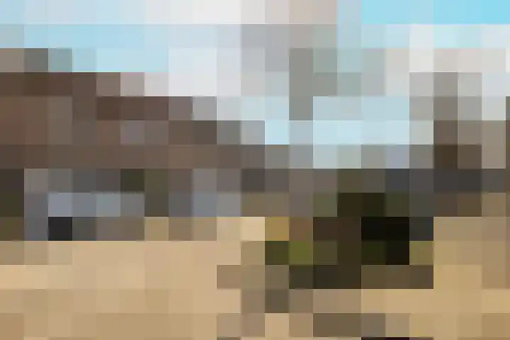 Mosveen 8 Wateringen thumbnail 36