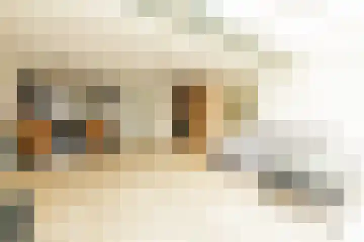 Mosveen 8 Wateringen thumbnail 8