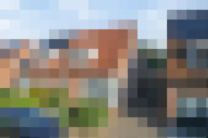 Mosveld 4 Hapert