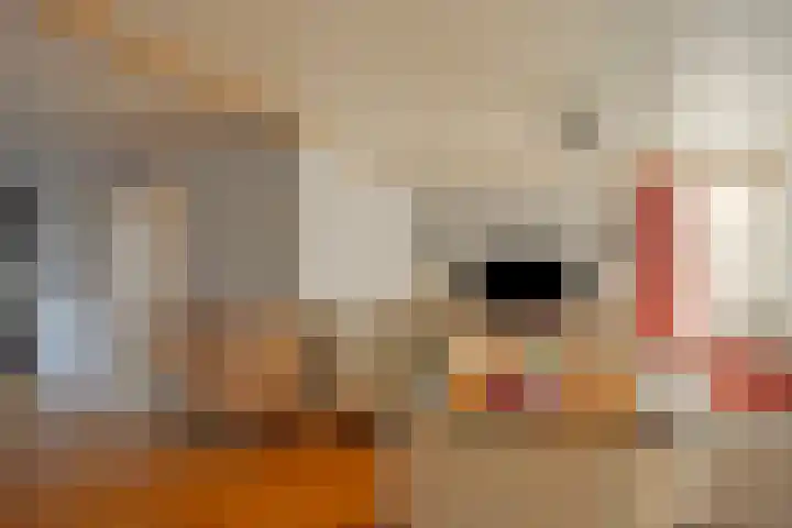 Mosveld 4 Hapert thumbnail 10