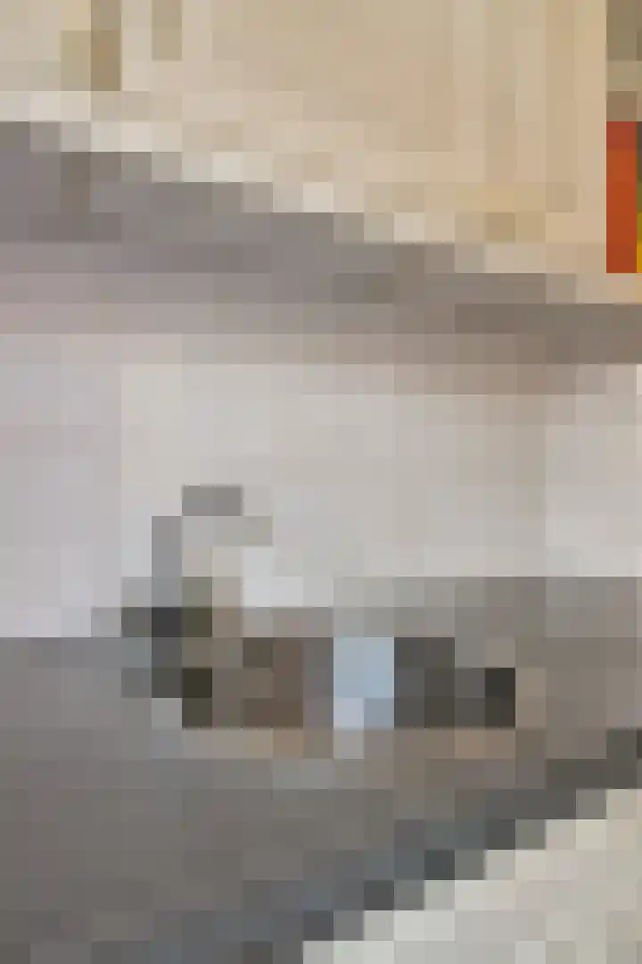 Mosveld 4 Hapert thumbnail 18