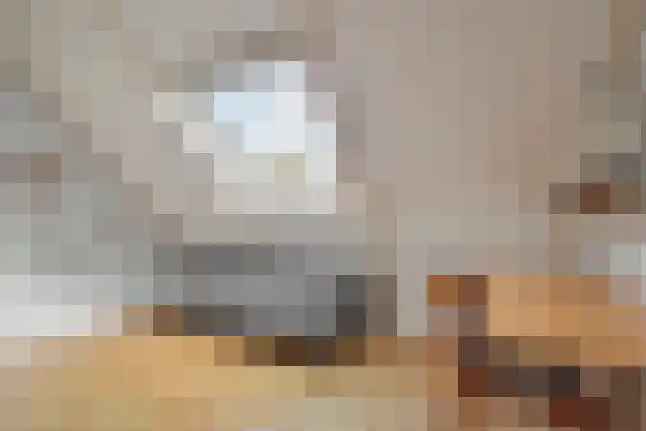 Mosveld 4 Hapert thumbnail 24