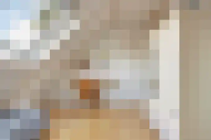 Mosveld 4 Hapert thumbnail 25