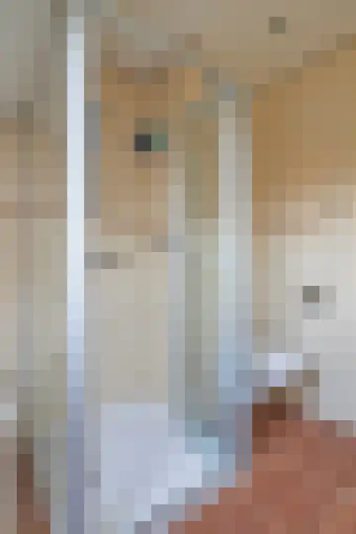 Mosveld 4 Hapert thumbnail 28