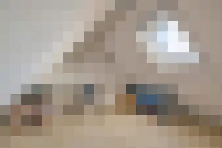 Mosveld 4 Hapert thumbnail 29