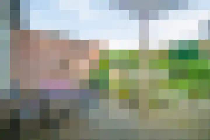 Mosveld 4 Hapert thumbnail 34