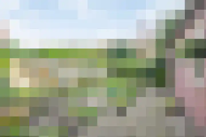 Mosveld 4 Hapert thumbnail 35