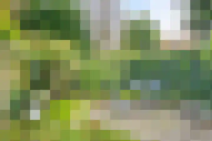 Mosveld 4 Hapert thumbnail 36